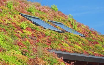 Stroxworthy living roof systems